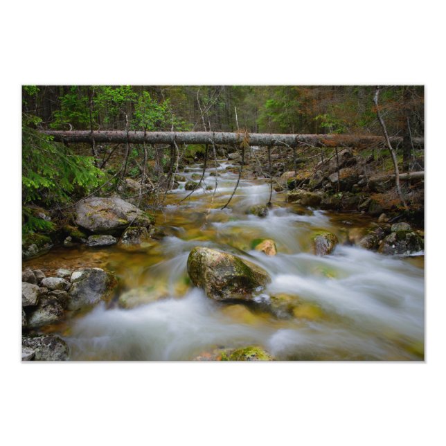 Impresión de fotos de crestas de bosque rocoso (Frente)