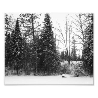 Impresión de fotos de escenas de invierno BW