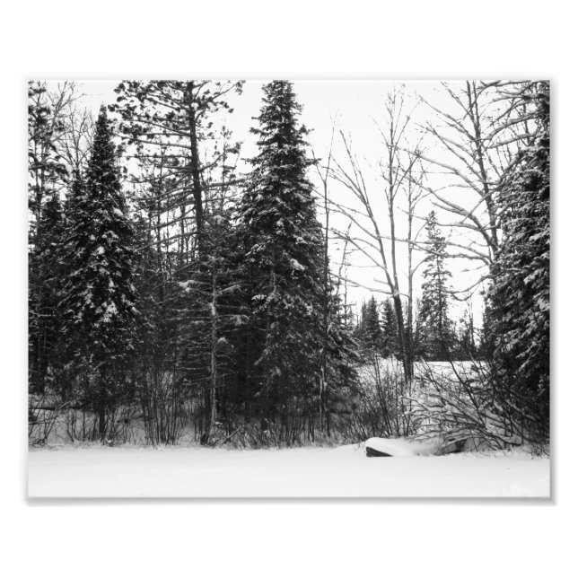 Impresión de fotos de escenas de invierno BW (Frente)
