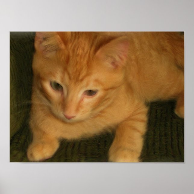 Impresión de fotos de Kitty (Frente)