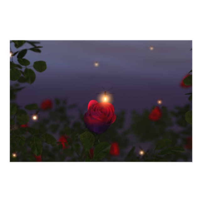 Impresión de fotos de luces nocturnas de verano (Frente)