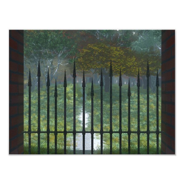 Impresión de fotos del bosque antiguo (Frente)