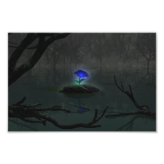 Impresión de fotos en Rosa azul (Frente)