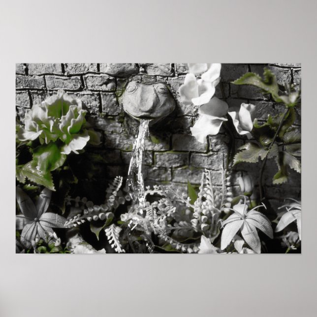 Impresión de fuente de té de sangre y de rana de c (Frente)