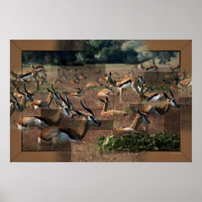 Impresión de gacela (Frente)