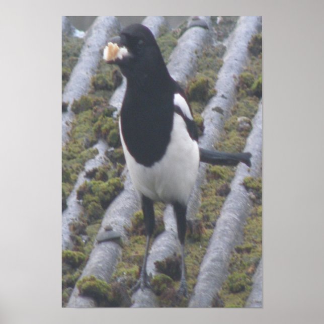 Impresión de gráfico de avaricia (Frente)