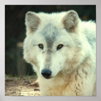 Impresión de grises Wolf
