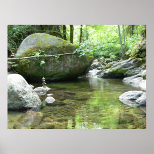 Impresión de grupo de mediadores