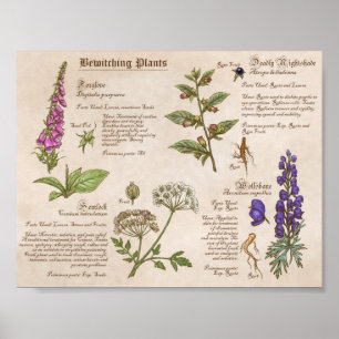 Impresión de guía de campo de plantas de baño
