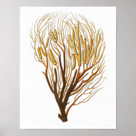 Impresión de historia natural de coral marino n.º 