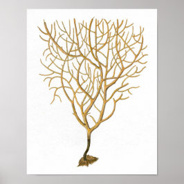 Impresión de historia natural de coral marino n.º 