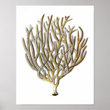 Impresión de historia natural de coral marino No.1