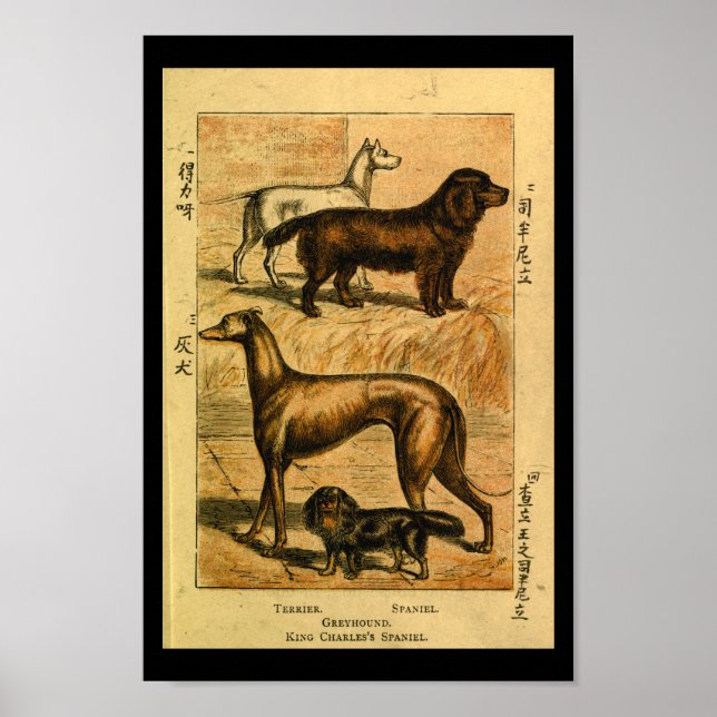 Impresión de historia natural de perro de época de (Frente)