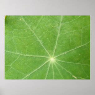 Impresión de hoja de nasturtio