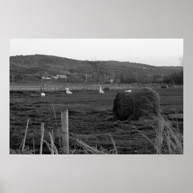 Impresión de horas (Frente)