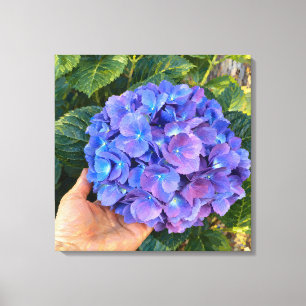 Impresión de Hortensia Azul en Mano Jardín Impresi