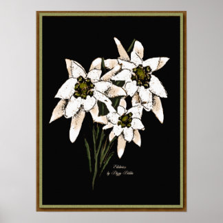 Impresión de ilustraciones de Edelweiss
