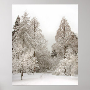 Impresión de invierno de Winter Wonderland Poster