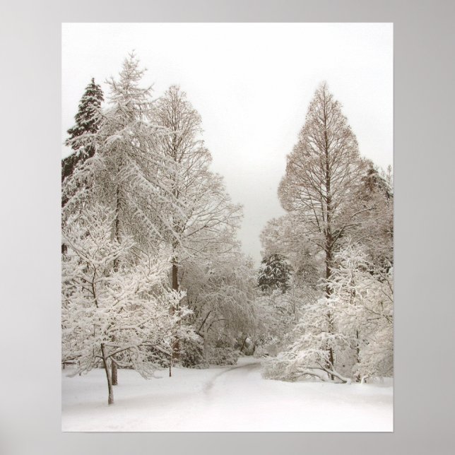 Impresión de invierno de Winter Wonderland Poster  (Frente)