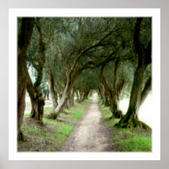 Impresión de jardín de oliva (Frente)