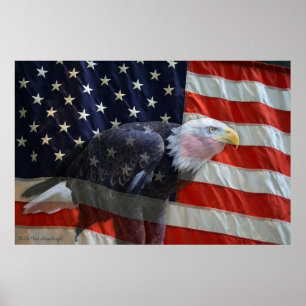 Impresión de la bandera de American Eagle