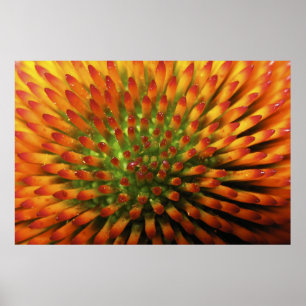 Impresión de la bella arte de las pastillas de car