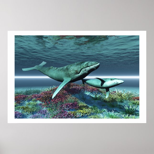 IMPRESIÓN DE LA CANCIÓN DE LA BALLENA (Frente)