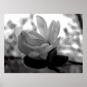 Impresión de la floración de la primavera