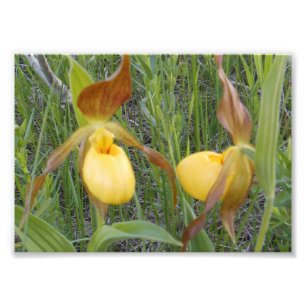 impresión de la foto 7x5