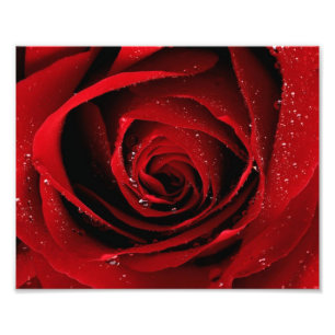 impresión de la foto 8x10