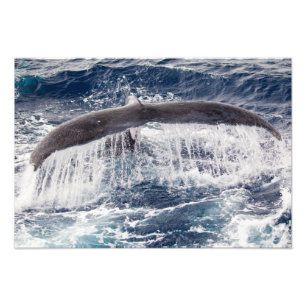 Impresión de la foto de la cascada del Humpback