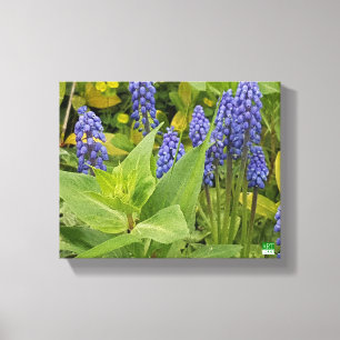 Impresión de la foto del arte de las flores del