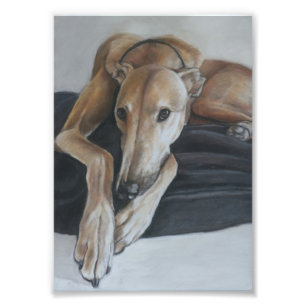Impresión de la foto del arte del perro del galgo