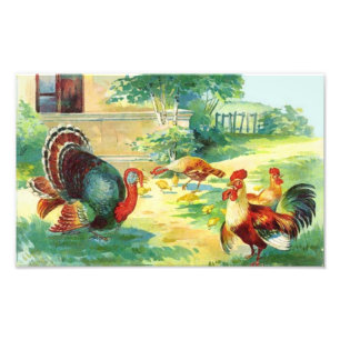 Impresión de la foto del día de la acción de