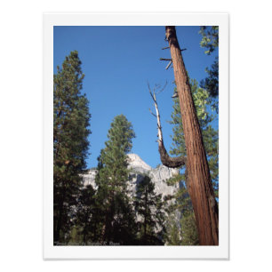 ¡"Impresión de la foto del valle de Yosemite del