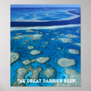 Impresión de la gran barrera de coral