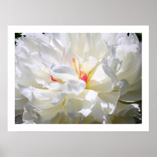 Impresión de la llama del Peony