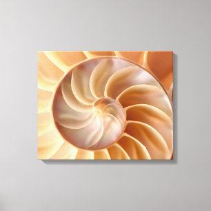 Impresión de la lona de arte de Shell del nautilu
