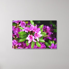 Impresión de la lona de Azelia