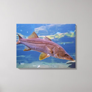 Impresión de la lona de los pescados de Snook