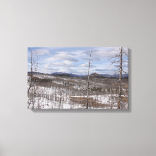 Impresión de la lona del bosque de Pike