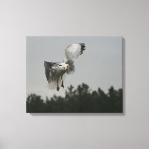 Impresión de la lona del zigzag