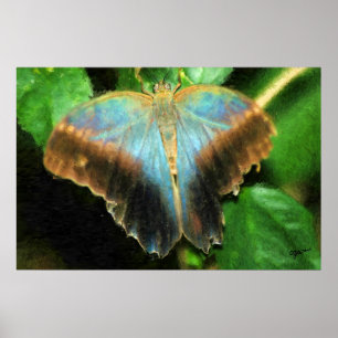 IMPRESIÓN DE LA MARIPOSA DE LUCY