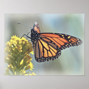 Impresión de la mariposa de monarca