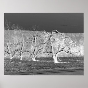 Impresión de la naturaleza de los árboles de manza