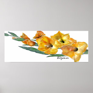 Impresión de la pintura de la acuarela de Gladiola