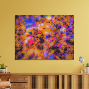 Impresión de la playa, rocas y conchas marinas