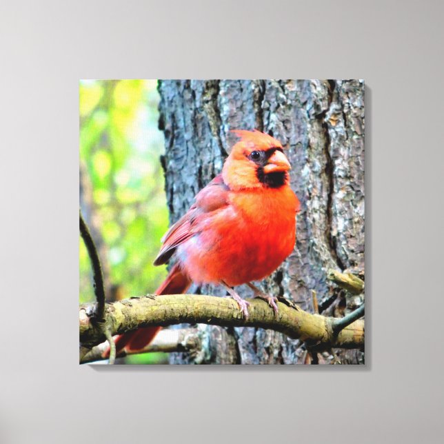 Impresión de la Plaza de Verano del Cardenal Rojo (Anverso)