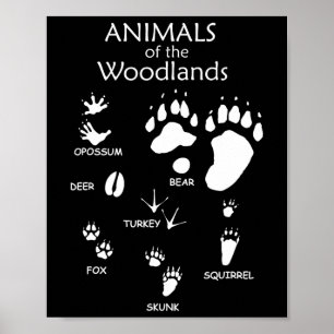 Impresión de la ruta de los animales de Woodland C
