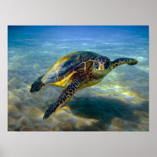 Impresión de la tortuga de mar de Leatherneck